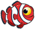 clown fish
